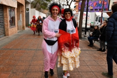 carnival-miguelturra-race-masks-2020