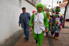 carnival-miguelturra-race-masks-2020