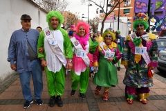 carnival-miguelturra-race-masks-2020