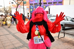 carnival-miguelturra-race-masks-2020