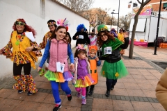 carnival-miguelturra-race-masks-2020