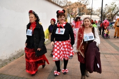 carnival-miguelturra-race-masks-2020