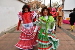 carnival-miguelturra-race-masks-2020