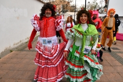 carnival-miguelturra-race-masks-2020