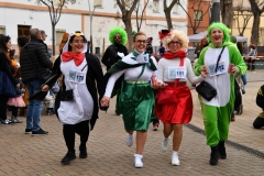 carnival-miguelturra-race-masks-2020