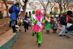 carnival-miguelturra-race-masks-2020