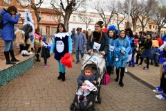 carnival-miguelturra-race-masks-2020