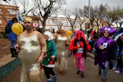 carnival-miguelturra-race-masks-2020