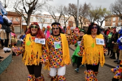 carnival-miguelturra-race-masks-2020