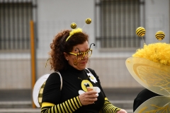 carnival-miguelturra-race-masks-2020