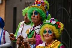 carnival-miguelturra-race-masks-2020