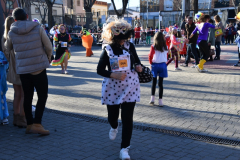 carnival-miguelturra-race-masks-2024