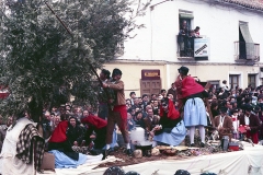 carnival-miguelturra-carrozas-1983
