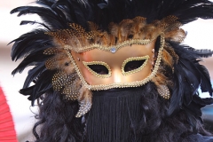 carnaval-miguelturra-carrozas-2009