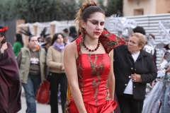 carnival-miguelturra-floats-2009
