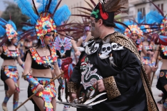 carnival-miguelturra-floats-2009