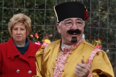 carnaval-miguelturra-carrozas-2009