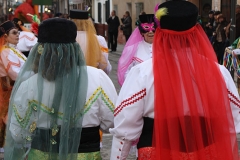 carnaval-miguelturra-carrozas-2009