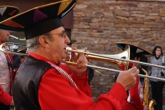 carnaval-miguelturra-carrozas-2009