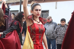 carnaval-miguelturra-carrozas-2009