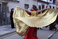 carnival-miguelturra-floats-2009