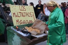 carnival-miguelturra-floats-2009