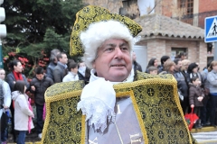 carnival-miguelturra-floats-2011