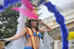 carnival-miguelturra-floats-2011