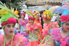 carnival-miguelturra-floats-2011