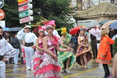 carnival-miguelturra-floats-2011