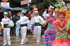 carnival-miguelturra-floats-2011