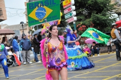 carnaval-miguelturra-carrozas-2011