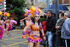 carnaval-miguelturra-carrozas-2011
