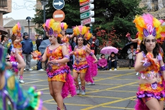 carnaval-miguelturra-carrozas-2011