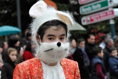 carnaval-miguelturra-carrozas-2011