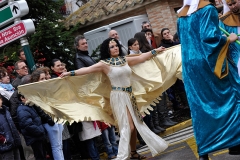 carnaval-miguelturra-carrozas-2011