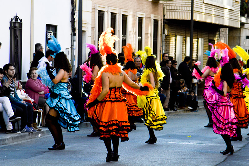 carnaval-miguelturra-carrozas-2014