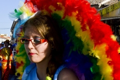 carnival-miguelturra-carrozas-2014