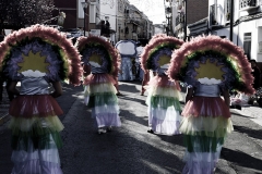 carnival-miguelturra-carrozas-2014