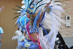 carnival-miguelturra-carrozas-2014