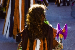 carnival-miguelturra-carrozas-2014