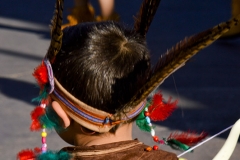 carnaval-miguelturra-carrozas-2014