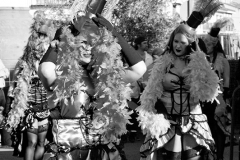 carnaval-miguelturra-carrozas-2014