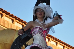 carnaval-miguelturra-carrozas-2014