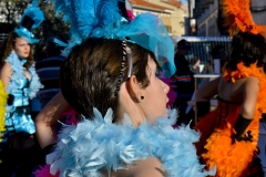 carnaval-miguelturra-carrozas-2014