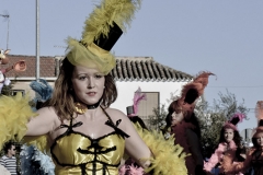 carnaval-miguelturra-carrozas-2014