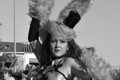 carnaval-miguelturra-carrozas-2014