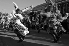 carnaval-miguelturra-carrozas-2014