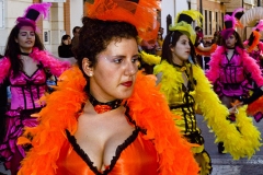 carnaval-miguelturra-carrozas-2014