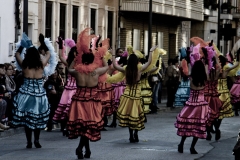carnaval-miguelturra-carrozas-2014